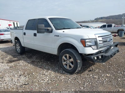 FORD F-150 2011