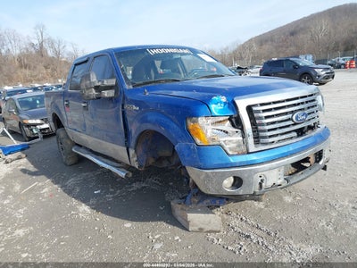 FORD F-150 2010