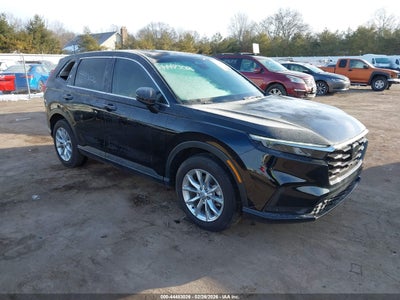 HONDA CR-V 2025