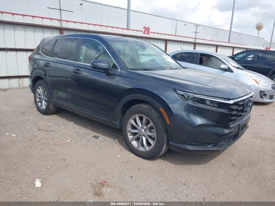 HONDA CR-V 2025
