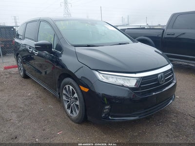 HONDA ODYSSEY 2021