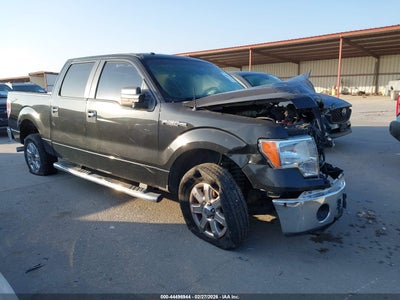 FORD F-150 2013