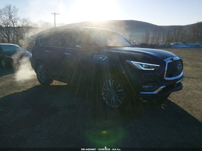 INFINITI QX80 2019