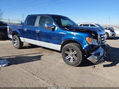 FORD F-150 2009