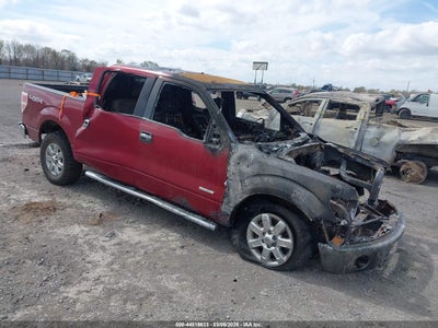 FORD F-150 2014