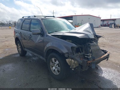 FORD ESCAPE 2010