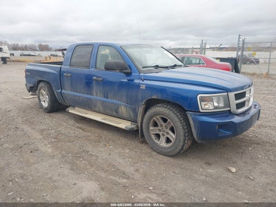 RAM DAKOTA 2011