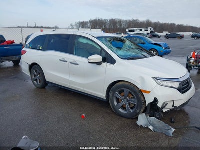 HONDA ODYSSEY 2021
