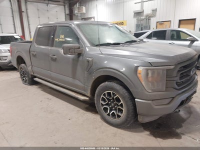 FORD F-150 2023