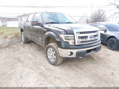FORD F-150 2013