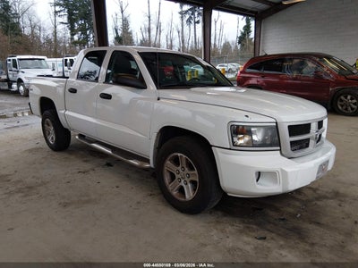 RAM DAKOTA 2011