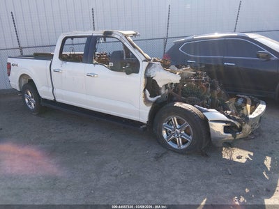 FORD F-150 2024