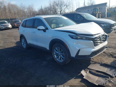 HONDA CR-V 2024