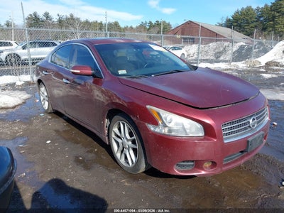 NISSAN MAXIMA 2010