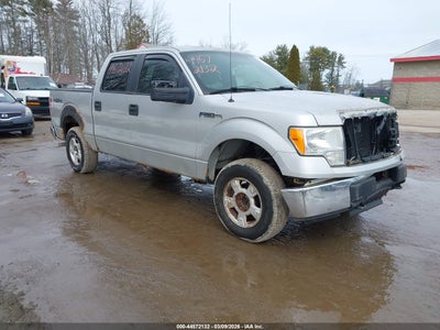 FORD F-150 2009
