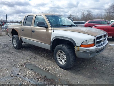 DODGE DAKOTA 2001