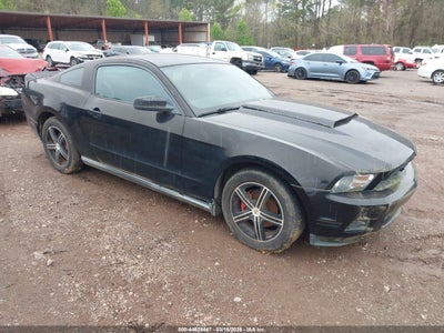 FORD MUSTANG 2010