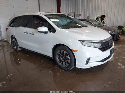 HONDA ODYSSEY 2022