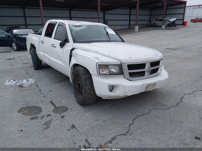 RAM DAKOTA 2011