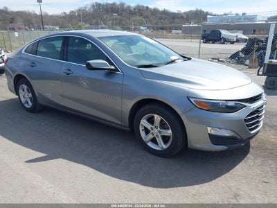 CHEVROLET MALIBU 2024