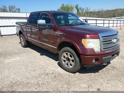 FORD F-150 2009