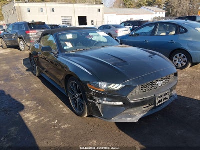 FORD MUSTANG 2019