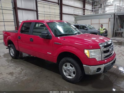 FORD F-150 2014