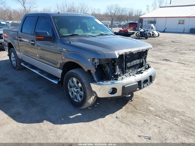 FORD F-150 2014