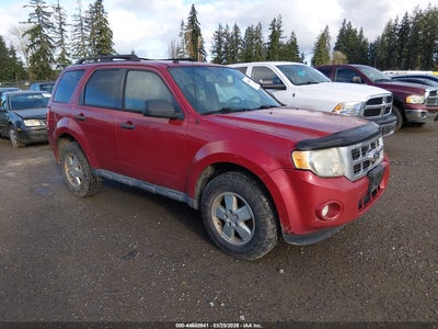 FORD ESCAPE 2010