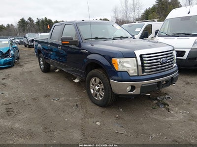 FORD F-150 2010