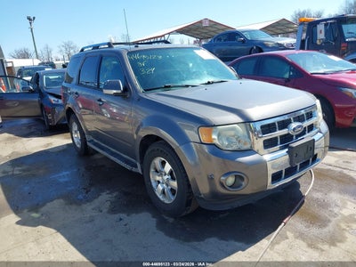 FORD ESCAPE 2011
