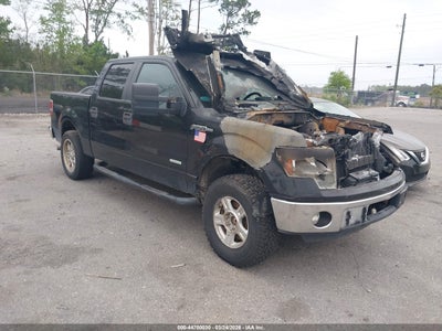 FORD F-150 2013