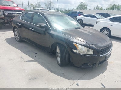 NISSAN MAXIMA 2011