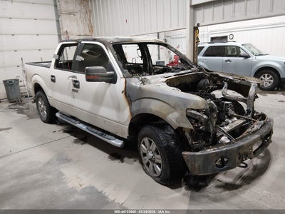 FORD F-150 2011