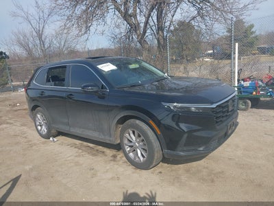 HONDA CR-V 2024