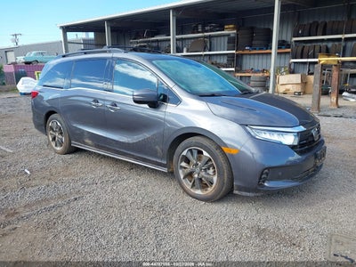 HONDA ODYSSEY 2023