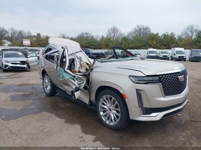 CADILLAC ESCALADE 2024