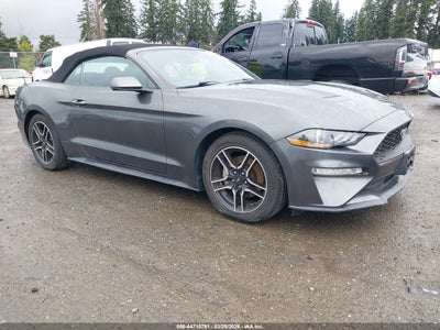FORD MUSTANG 2019