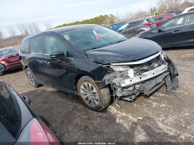 HONDA ODYSSEY 2024