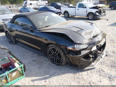 FORD MUSTANG 2019