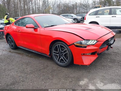 FORD MUSTANG 2019
