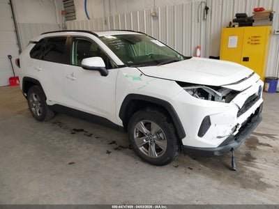TOYOTA RAV4 HYBRID 2024