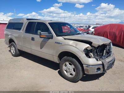 FORD F-150 2010