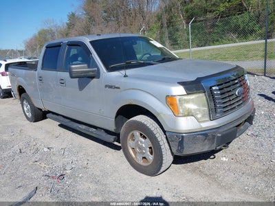 FORD F-150 2011
