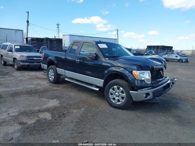 FORD F-150 2013