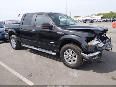 FORD F-150 2013