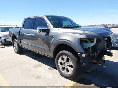 FORD F-150 2023