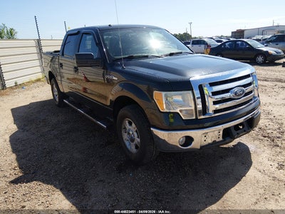 FORD F-150 2010