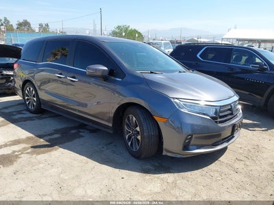 HONDA ODYSSEY 2024
