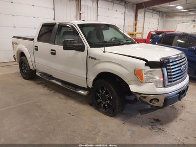 FORD F-150 2010